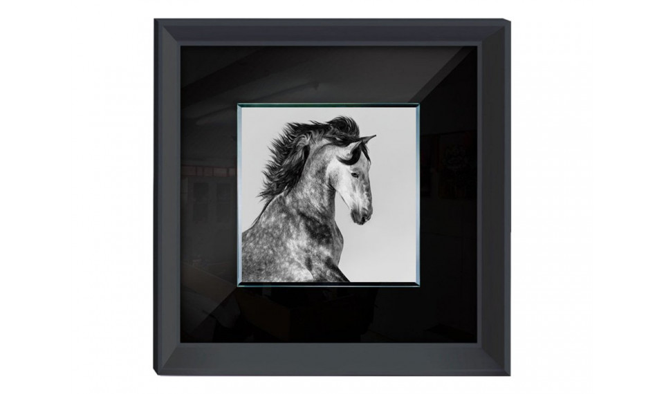Pilt S61577 | Pildid | ZIPhome.ee image 1