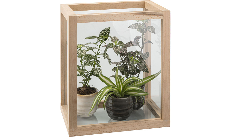 Decorative glasshouse Cabi | Dekoratiiv nõud | ZIPhome.ee pilt 1