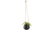 Small plant pot Flos | 100% laatu Small plant pot Flos | Lillepotid | ZIPhome.ee kuva 1