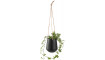 Big plant pot Flos | Flower pots | ZIPhome.ee image 1