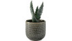 Small plant pot Ligo | Lillepotid | ZIPhome.ee pilt 1