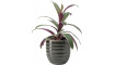 Big plant pot Liga | Lillepotid | ZIPhome.ee pilt 1