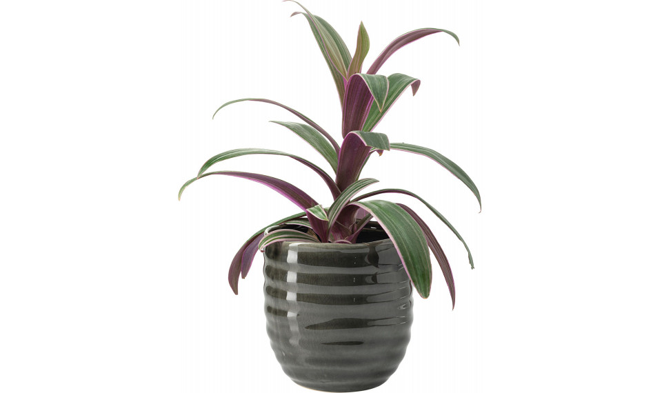 Big plant pot Liga | Lillepotid | ZIPhome.ee pilt 1