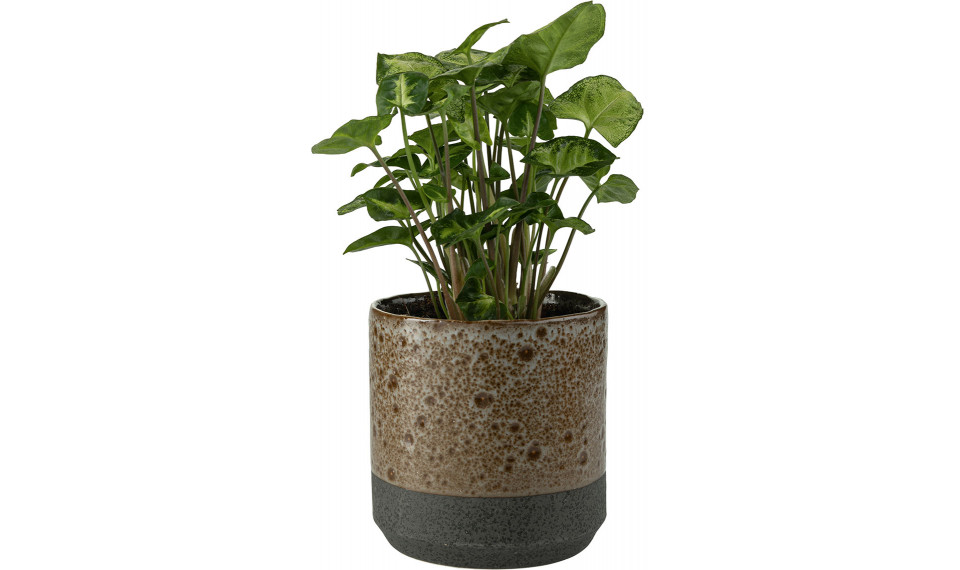 Plant pot Rawi | Lillepotid | ZIPhome.ee kuva 1