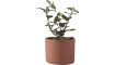 Small plant pot Redo | 100% kvaliteet Small plant pot Redo | Lillepotid | ZIPhome.ee pilt 1