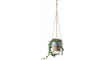 Hanging flowerpot Forme | 100% kvaliteet Hanging flowerpot Forme | Lillepotid | ZIPhome.ee pilt 1