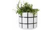 Plant pot Ida II | 100% laatu Plant pot Ida II | Lillepotid | ZIPhome.ee kuva 1