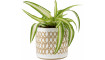 Plant pot Zigi I | 100% качество Plant pot Zigi I | Lillepotid | ZIPhome.ee изображение 1