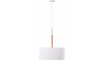 Pendant lamp Poulie II | Valgustid1 | ZIPhome.ee pilt 1