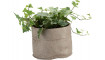 Small container Calm | 100% kvaliteet Small container Calm | Оrganaiserid1 | ZIPhome.ee pilt 1