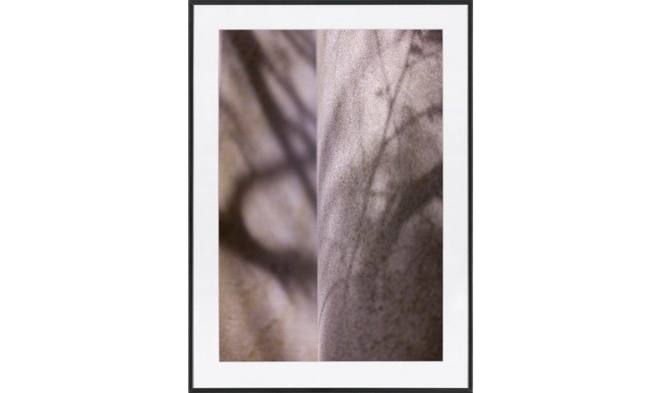 Photography Stone Conversation 2 | Paintings | ZIPhome.ee image 1