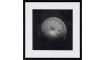 Photograph Cactus III | Pildid | ZIPhome.ee pilt 1