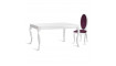 DCN - 160 extendable dining table | Tables | ZIPhome.ee image 5