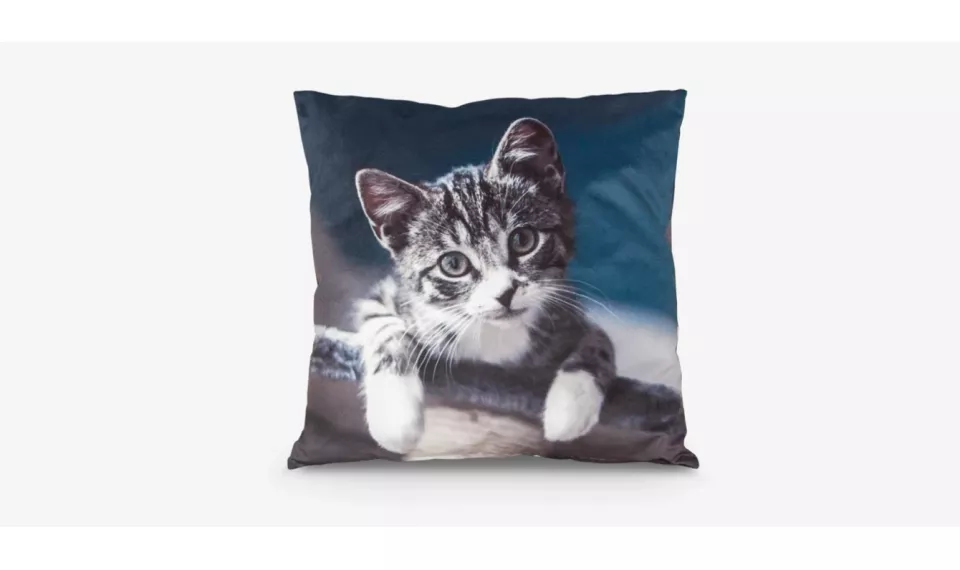 KAČIUKAS dekoratiivpadi | Aksessuaarid Magres | ZIPhome.ee image 1