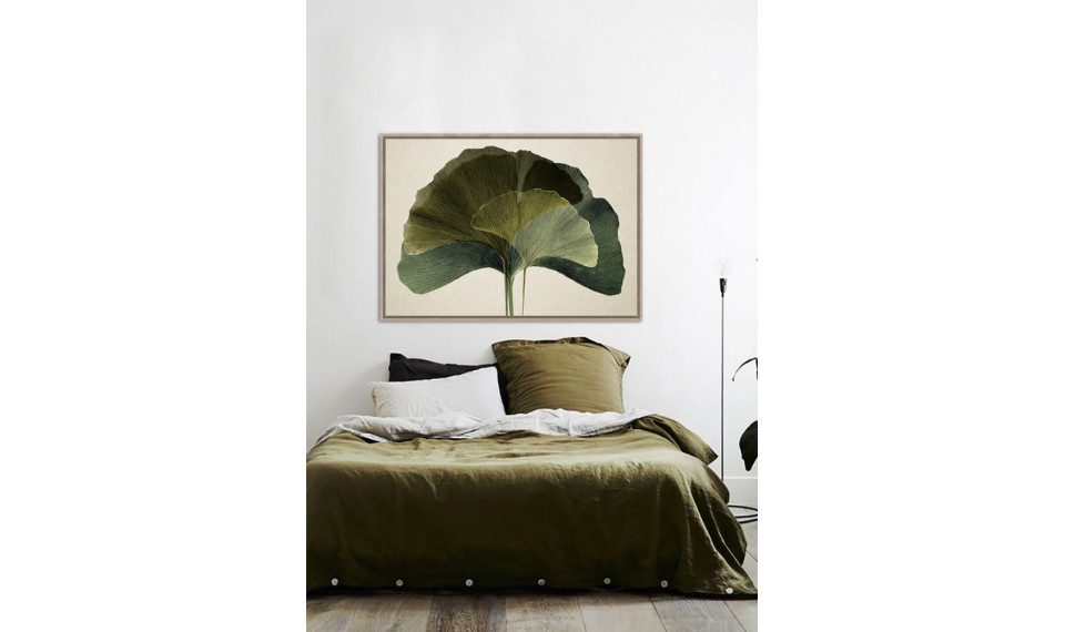 Pilt TOIR23229 | Pildid | ZIPhome.ee pilt 3