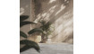 CANYON Beige 200x300 vaip | 100% качество CANYON Beige 200x300 vaip | Aksessuaarid | ZIPhome.ee изображение 5