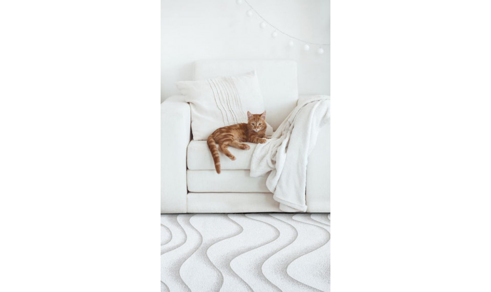 SABBIA Beige  200x300 vaip | Fargotex | ZIPhome.ee pilt 2