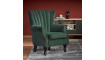 TITAN Armchair green | 100% laatu TITAN Armchair green | Pehmustetut huonekalut | ZIPhome.ee kuva 2