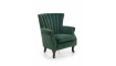 TITAN Armchair green | 100% laatu TITAN Armchair green | Pehmustetut huonekalut | ZIPhome.ee kuva 1