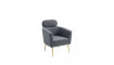 MELISA Armchair, color gray | 100% laatu MELISA Armchair, color gray | Nojatuolit | ZIPhome.ee kuva 1