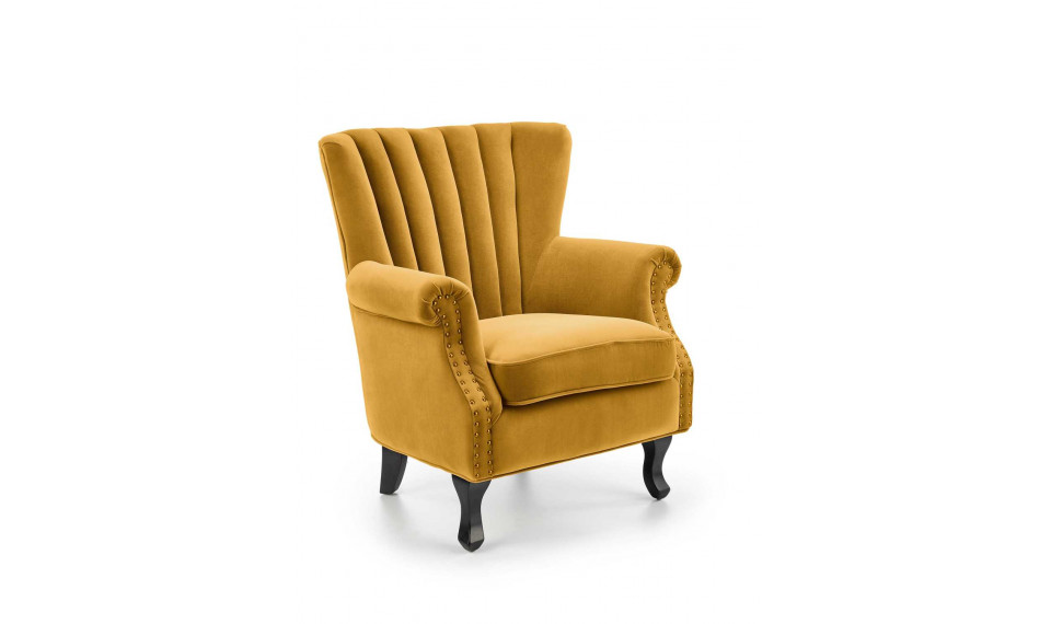 TITAN Armchair, color mustard | Soft furniture | ZIPhome.ee image 1