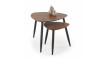 NICEA set of two coffee tables | 100% laatu NICEA set of two coffee tables | Kahvipöydat | ZIPhome.ee kuva 1
