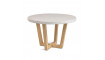 Shanelle table White | 100% Quality Shanelle table White | Tables | ZIPhome.ee image 1
