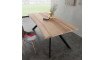 Bio Metall laud 200x100 | Lauad | ZIPhome.ee pilt 1