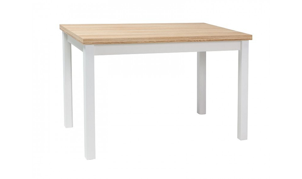 ADAM Söögilaud 100x60 Tamm/Valge | Lauad | ZIPhome.ee pilt 1