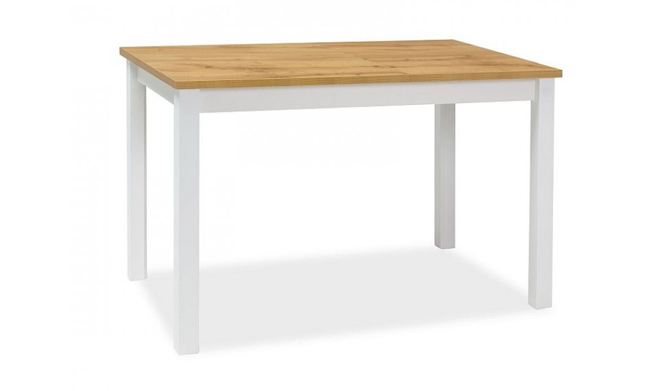 ADAM Söögilaud 100x60 Oak WOTAN/Valge | Lauad | ZIPhome.ee pilt 1