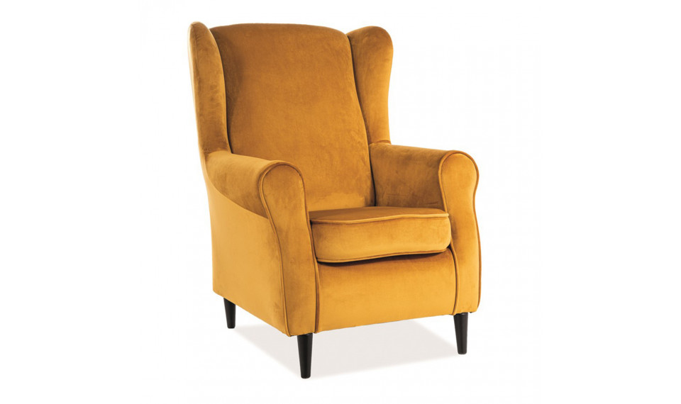 Tugitool BARON VELVET BLUVEL 68 karri | Toolid ja tugitoolid | ZIPhome.ee image 1