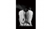 ANGEL Pilt | Pildid | ZIPhome.ee pilt 1