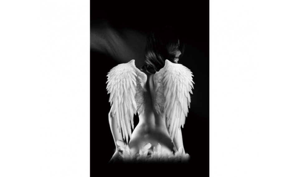 ANGEL Pilt | Pildid | ZIPhome.ee pilt 1