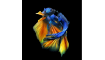 BETTA I Pilt | Pildid | ZIPhome.ee image 1