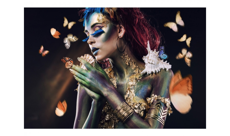 BUTTERFLY Pilt | Pildid | ZIPhome.ee pilt 1