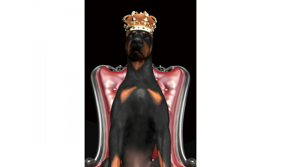 DOG IN CROWN Pilt | Aksessuaarid | ZIPhome.ee image 1