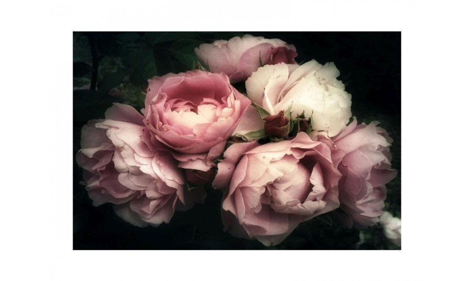 FLOWERS I Pilt | Pildid | ZIPhome.ee pilt 1