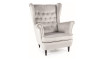 Armchair HARRY VELVET BLUVEL 03 light gray | 100% laatu Armchair HARRY VELVET BLUVEL 03 light gray | Soft furniture | ZIPhome.ee kuva 1