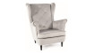 Armchair LADY VELVET BLUVEL 03 light gray | 100% laatu Armchair LADY VELVET BLUVEL 03 light gray | Soft furniture | ZIPhome.ee kuva 1