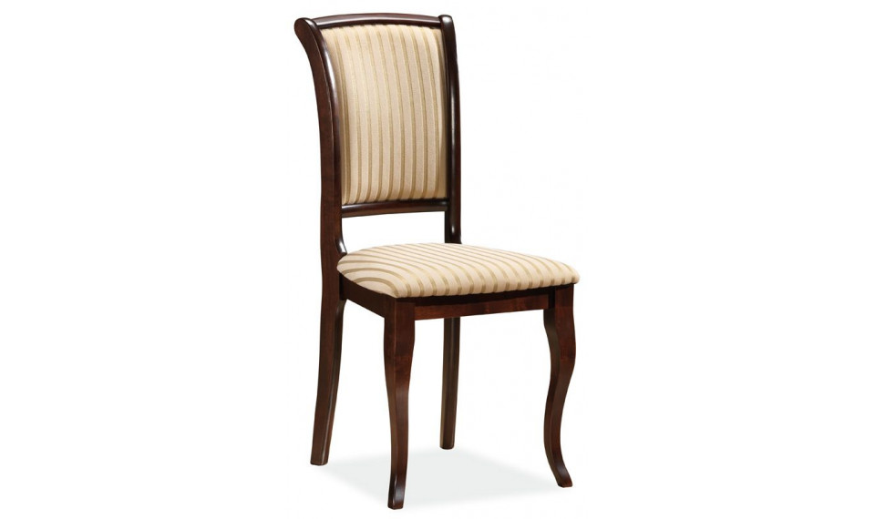 MN-SC Chair T19 dark walnut | Tuolit | ZIPhome.ee kuva 1