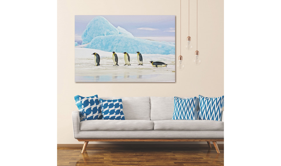 PENGUINS Pilt | Pildid | ZIPhome.ee pilt 3