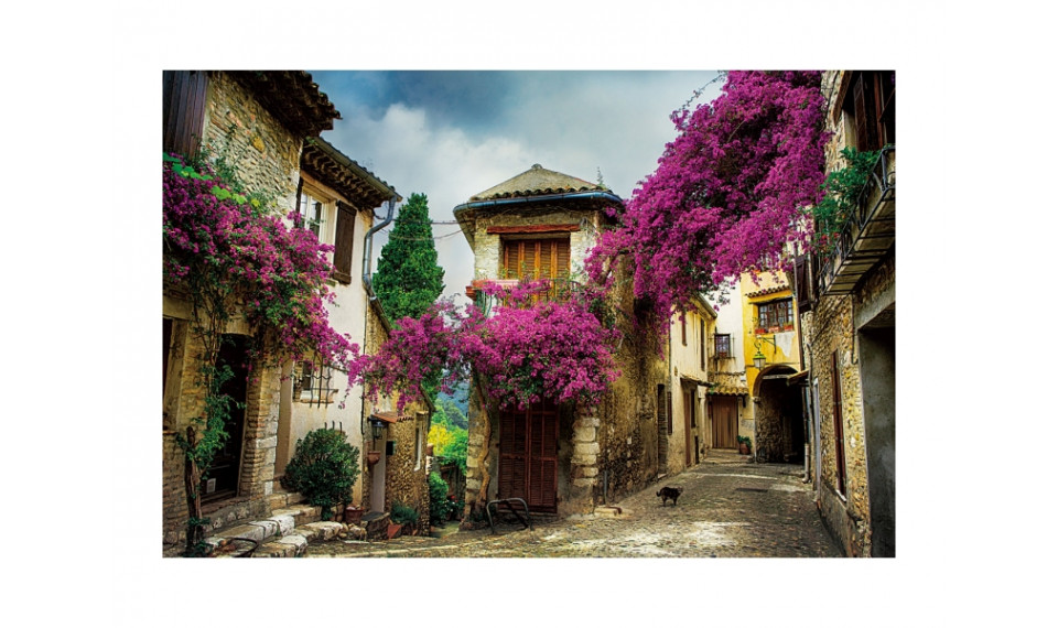 STREET VIEW I Pilt | Pildid | ZIPhome.ee pilt 1