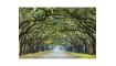 TREES I Painting on glass | 100% Quality TREES I Painting on glass | Paintings | ZIPhome.ee image 1